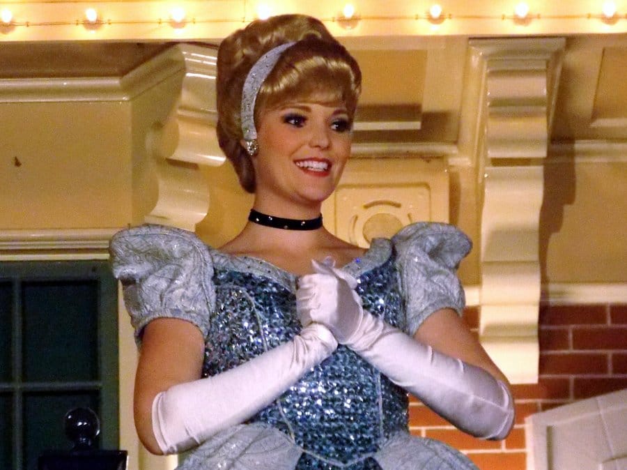 pepeljuga flickr com