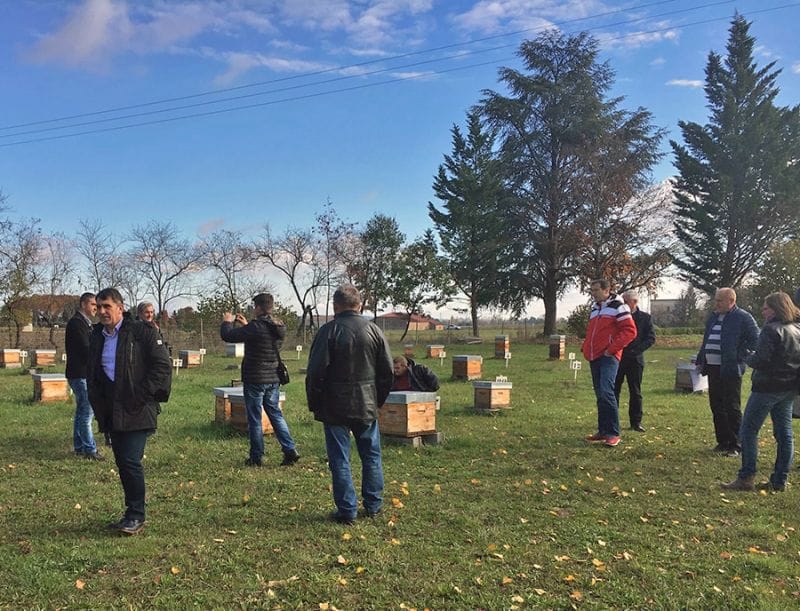 Putovanje-Francuska-Evropski-progres