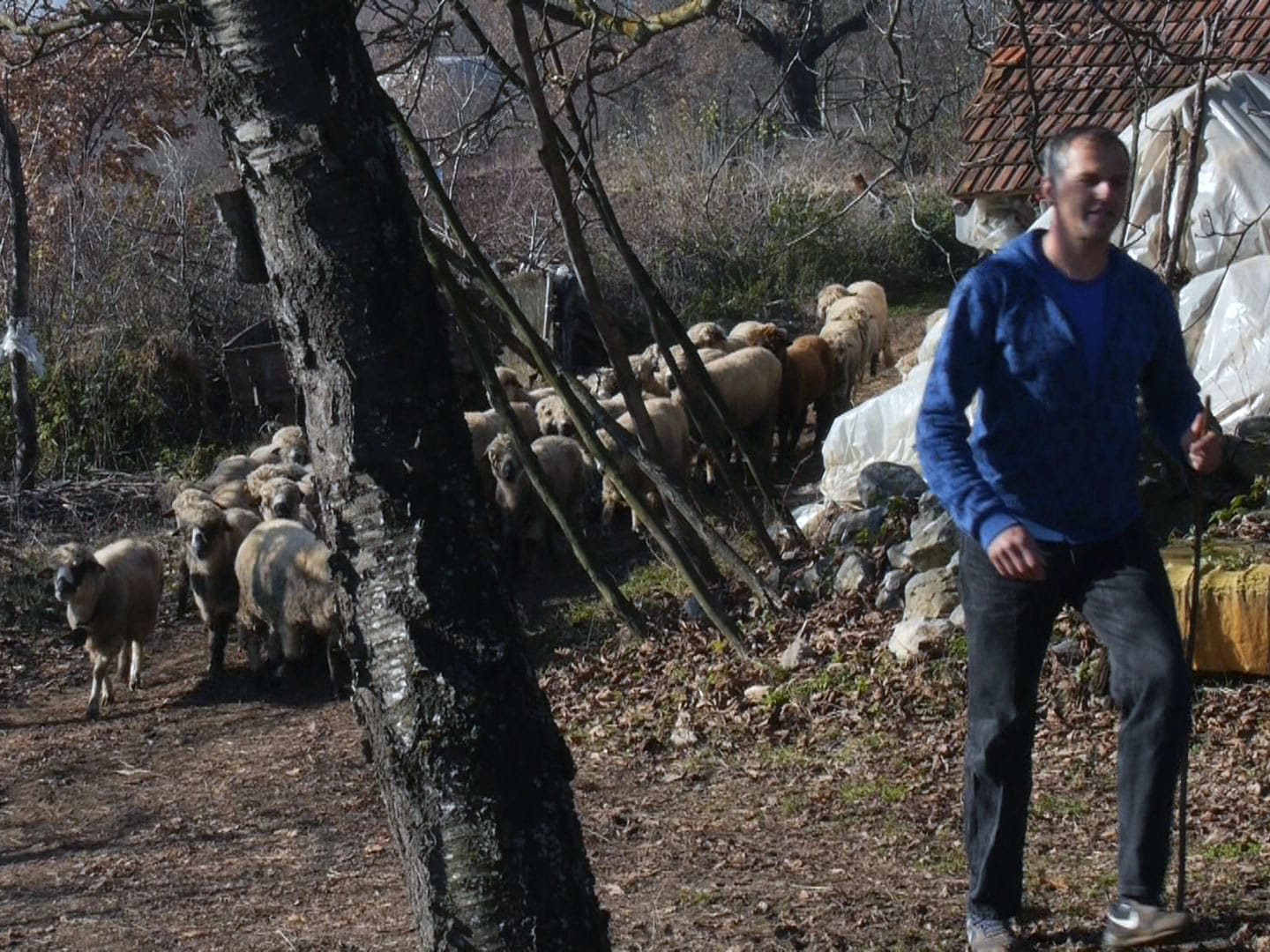 Dejan Milenkovic foto JV