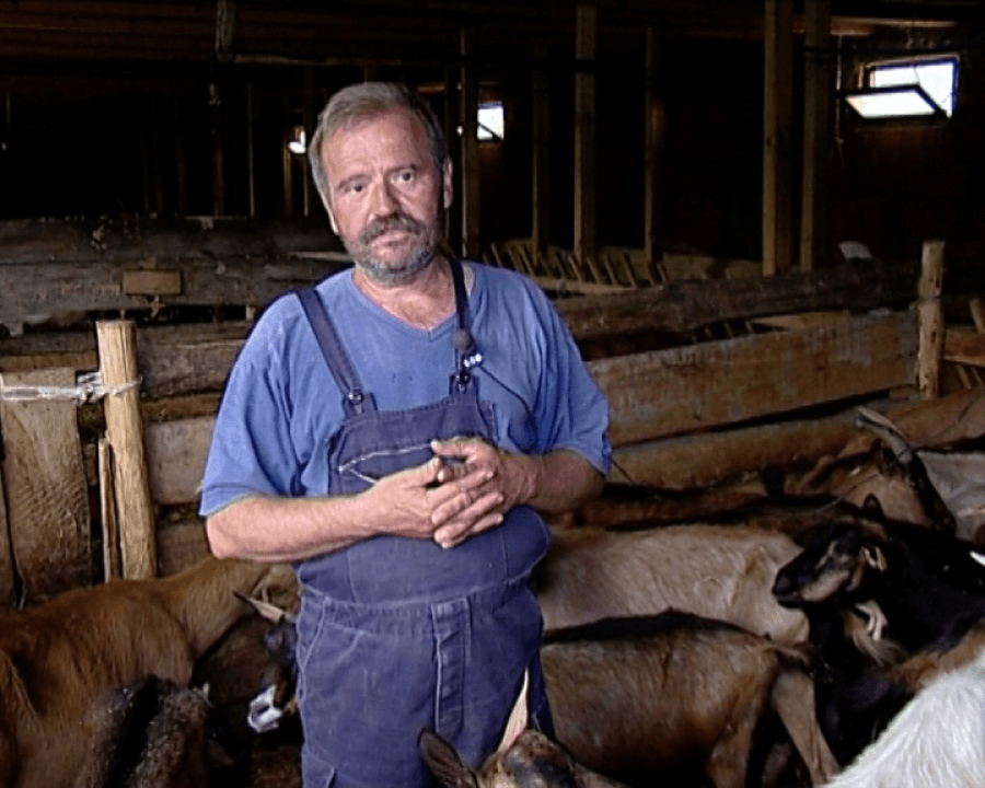 Zoran-Stevanovic-foto-JV