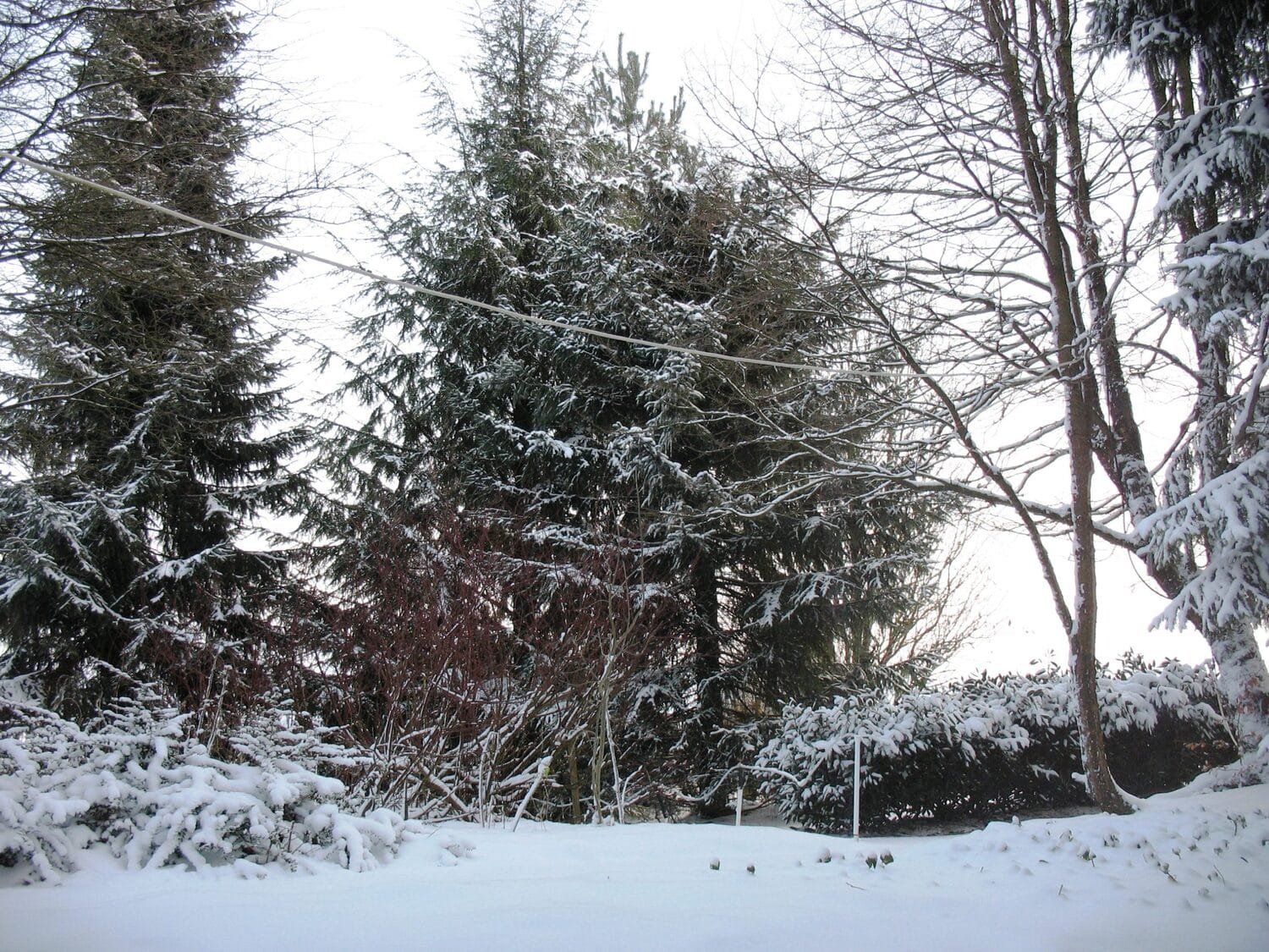 4209847122 64a759754b o scaled