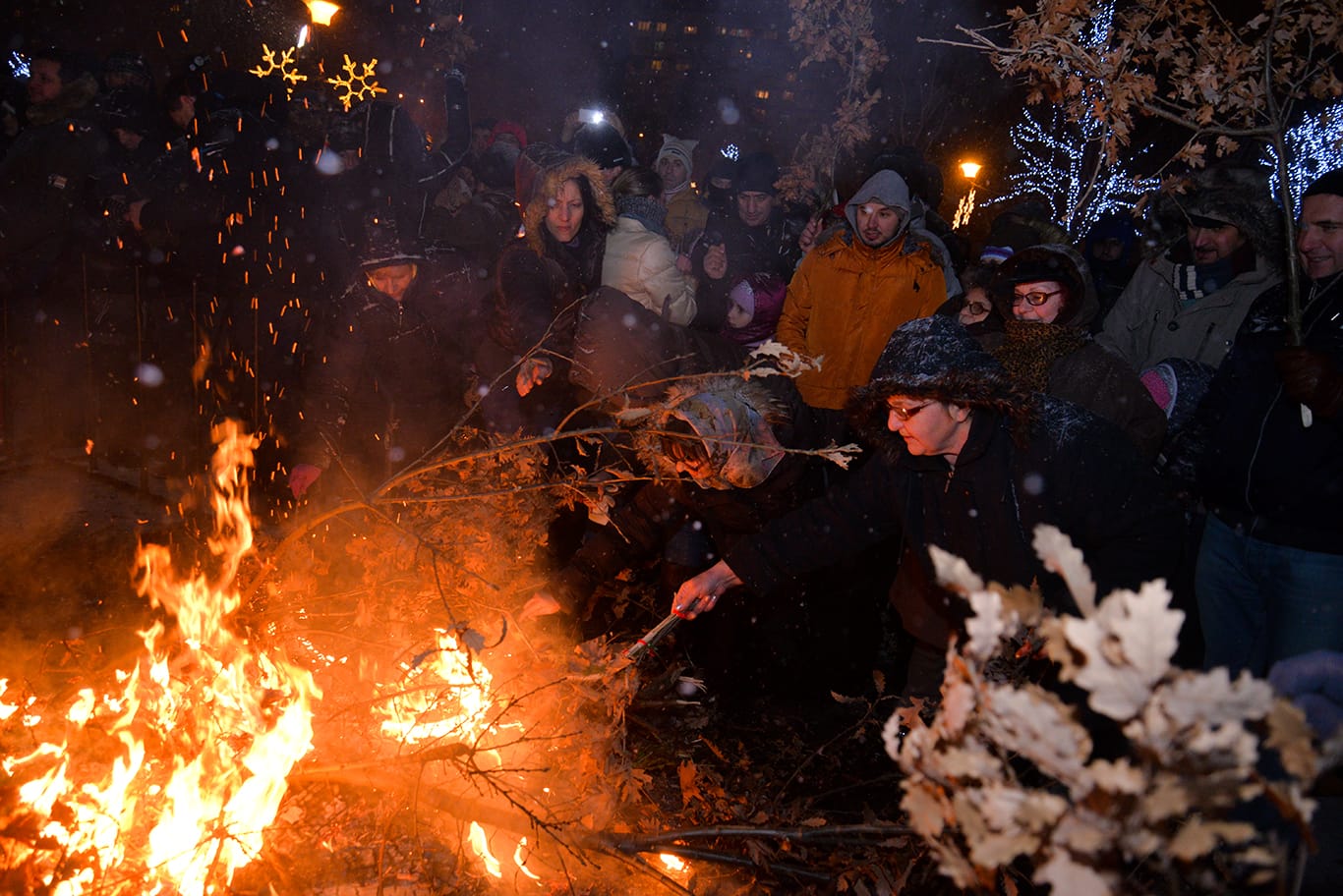 badnjaci-Vanja-Keser