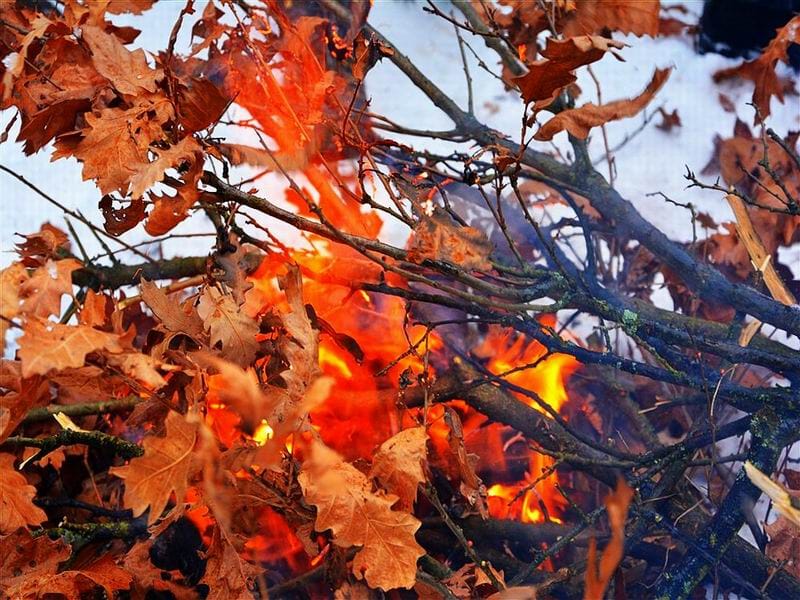 Badnji dan 2017 Svrljig FOTO ALEKSANDAR KOSTIC 10