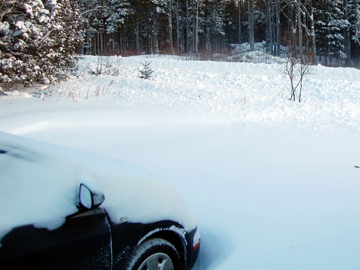 sneg flickr com renee johnson