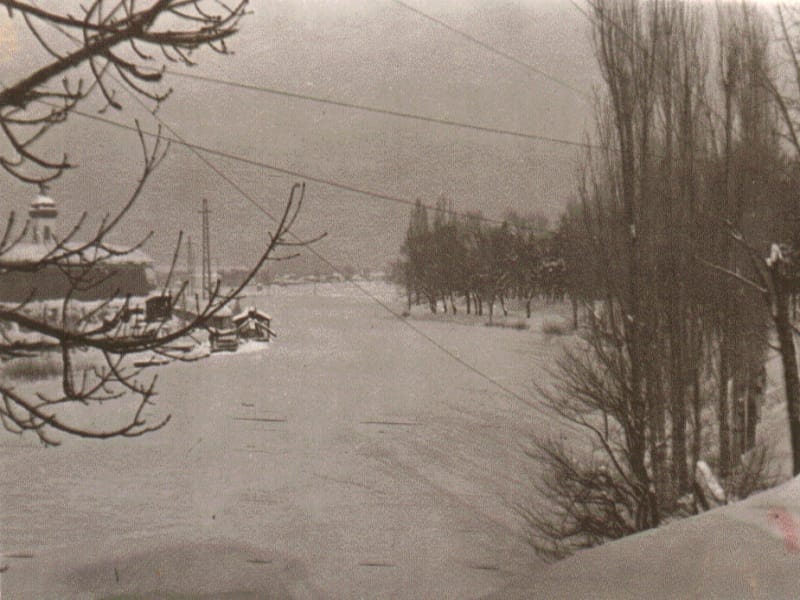 Život u Nišu januara 1942. prema pisanju okupatorske štampe 20 zaledjenanisava foto niski arhiv