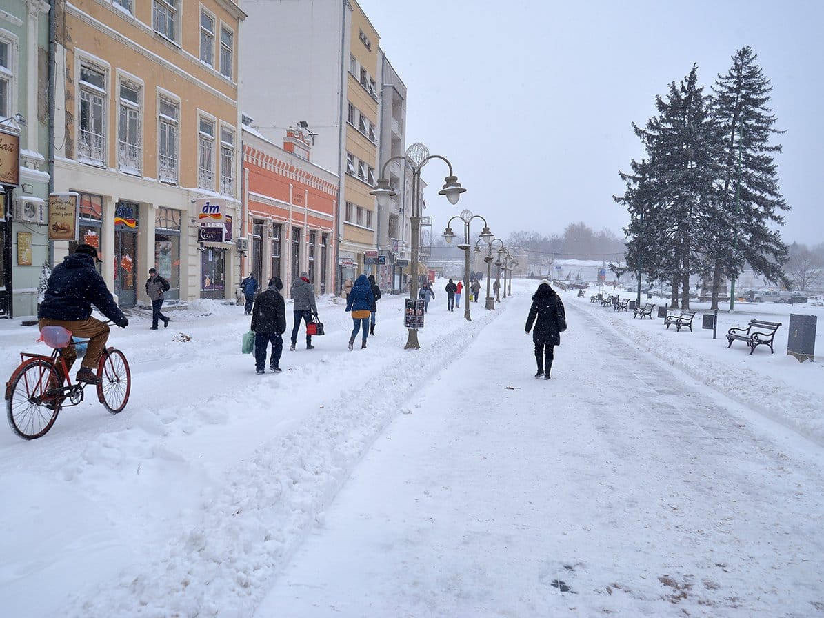 Poledica foto Vanja Keser