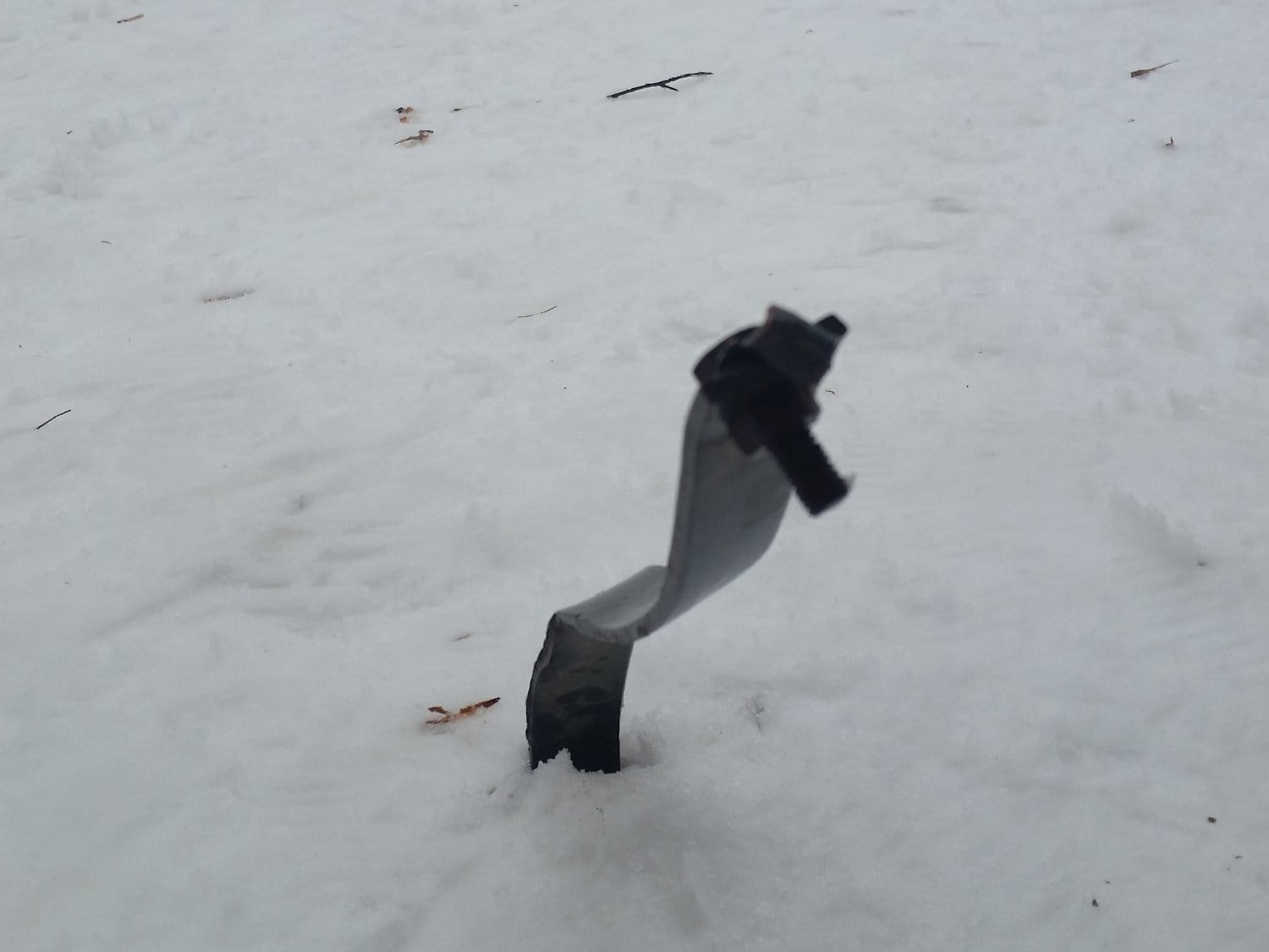 Sipka koja viri foto NN