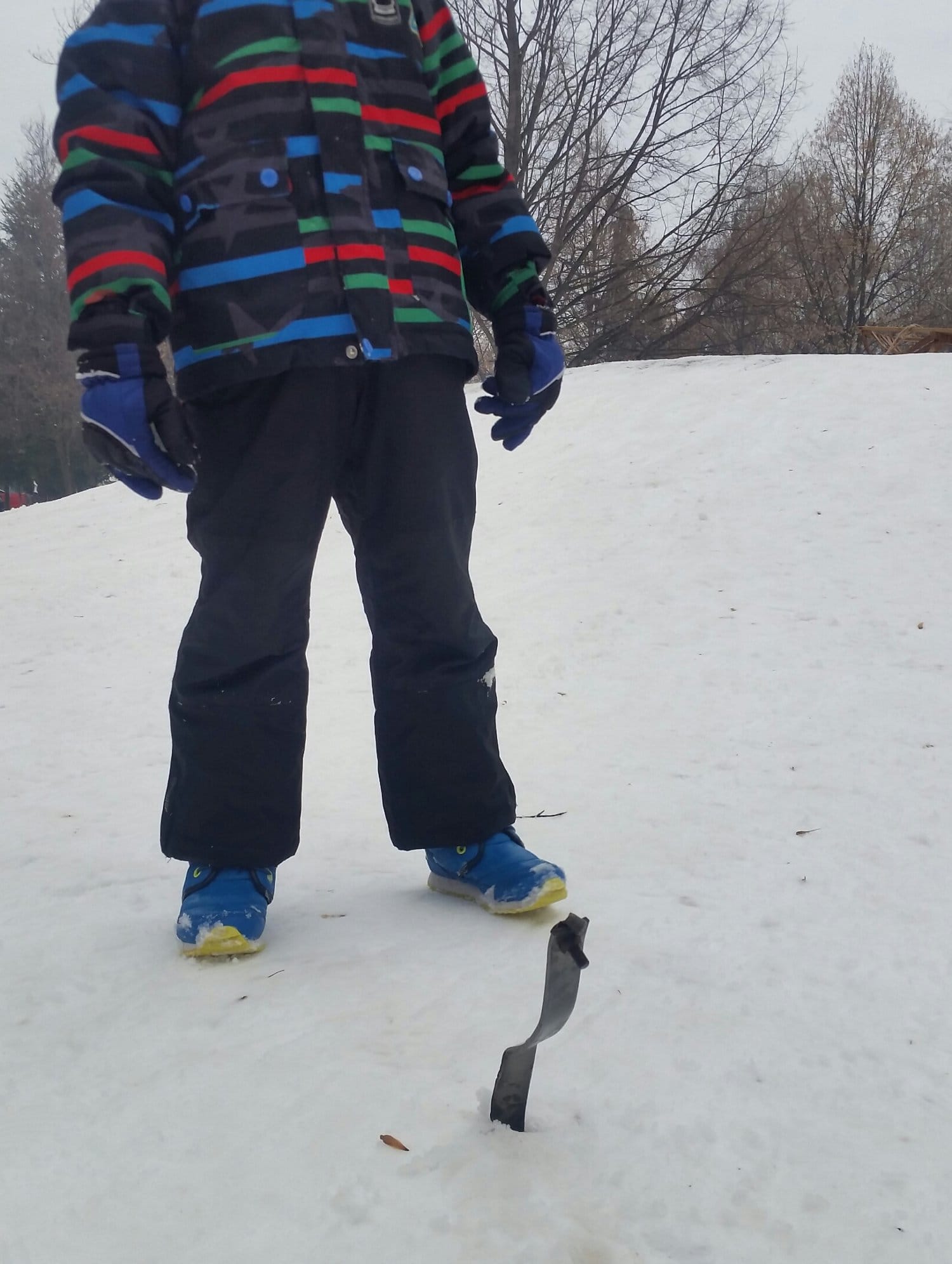 gvozdje park Sv Sava