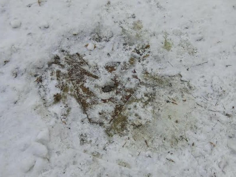 Uklonjena sipka foto medijana