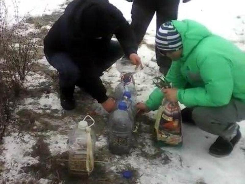 priprema za prihranu ptica foto lj m 1