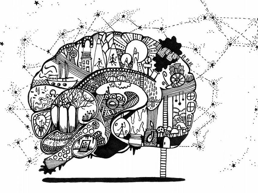 Katarina crtezi foto Arteller