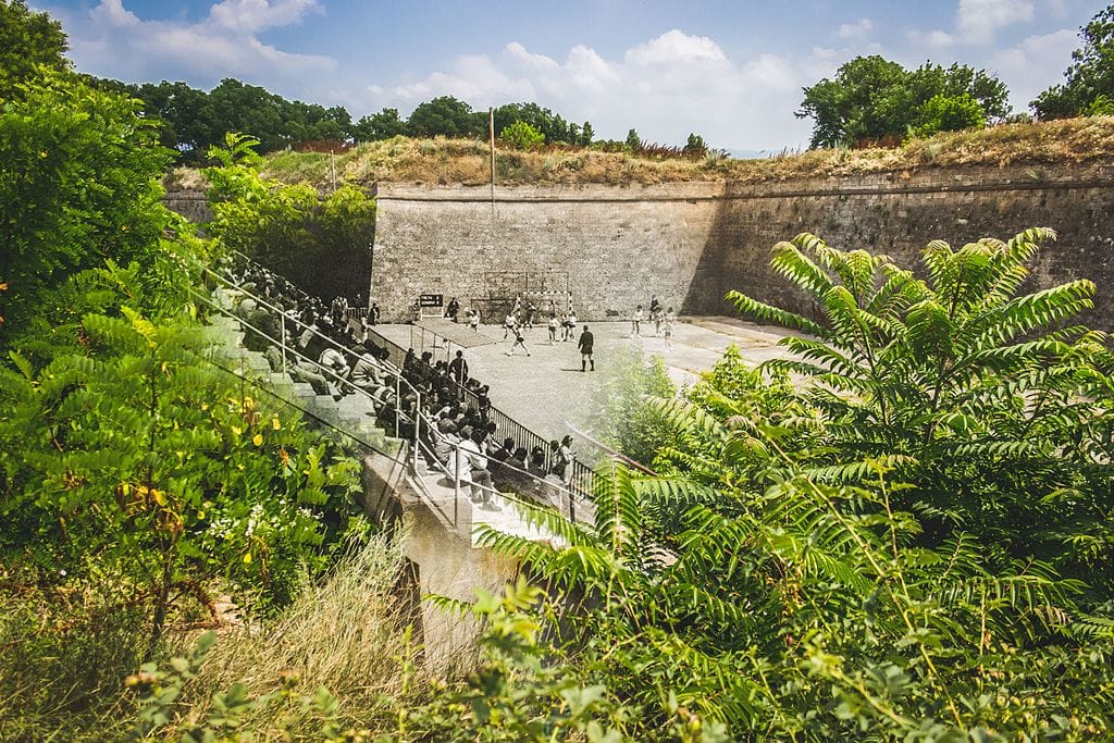 Rovce u Niskoj tvrdjavi