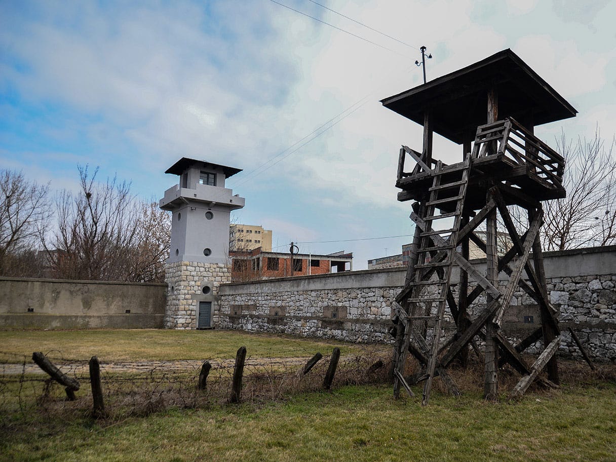 Osmatracnice foto Vanja Keser