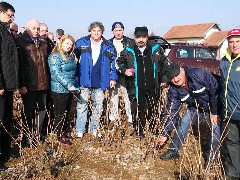 sveti trifun vinogradi prokuplje 2 foto lj m
