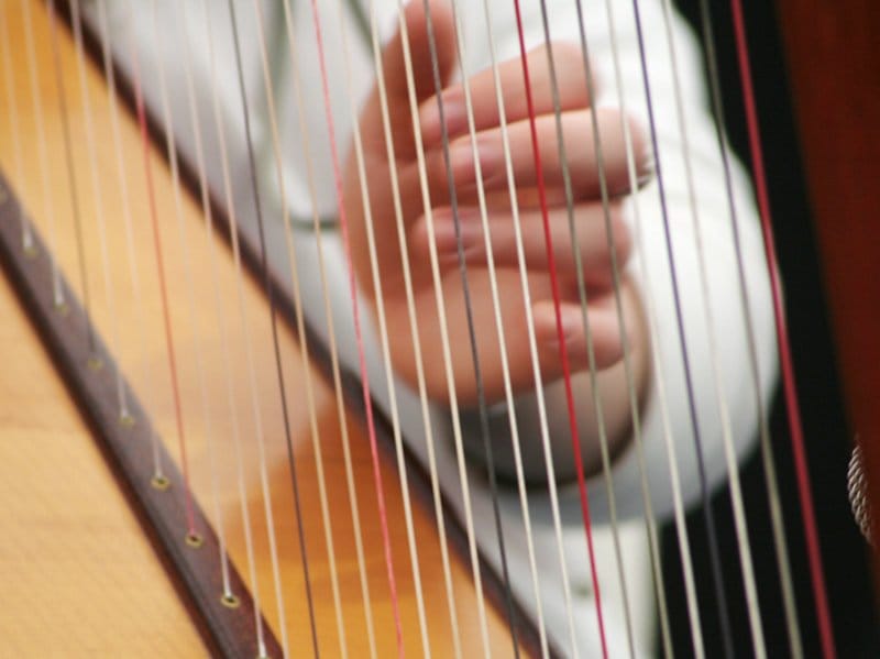 Harfa Flickr Lubomir Panak