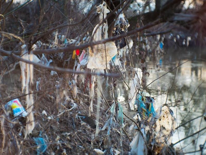 Vranjski izviđači protiv ekološke katastrofe, potpisan memorandum "Tužna Morava" 12 800x600 morava5 foto ivicastosic