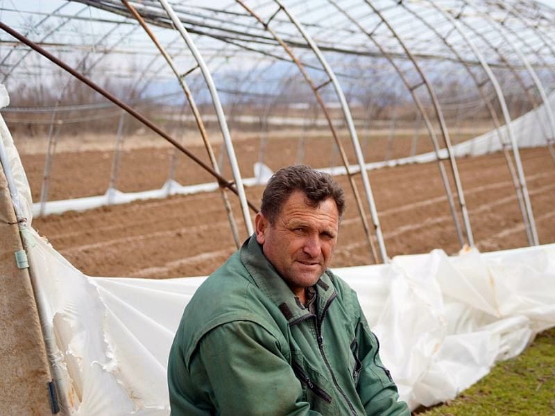 04 zoran ilic pored posecenog plastenika foto slobodan ristic