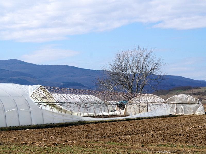 5 unisten plastenik foto slobodan ristic