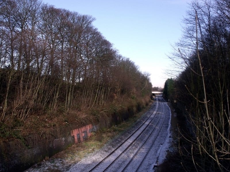 pruga fliker eli brown