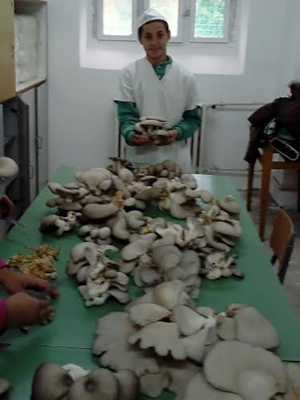 pecurke proizvedene u prokupackoj skoli foto lj m