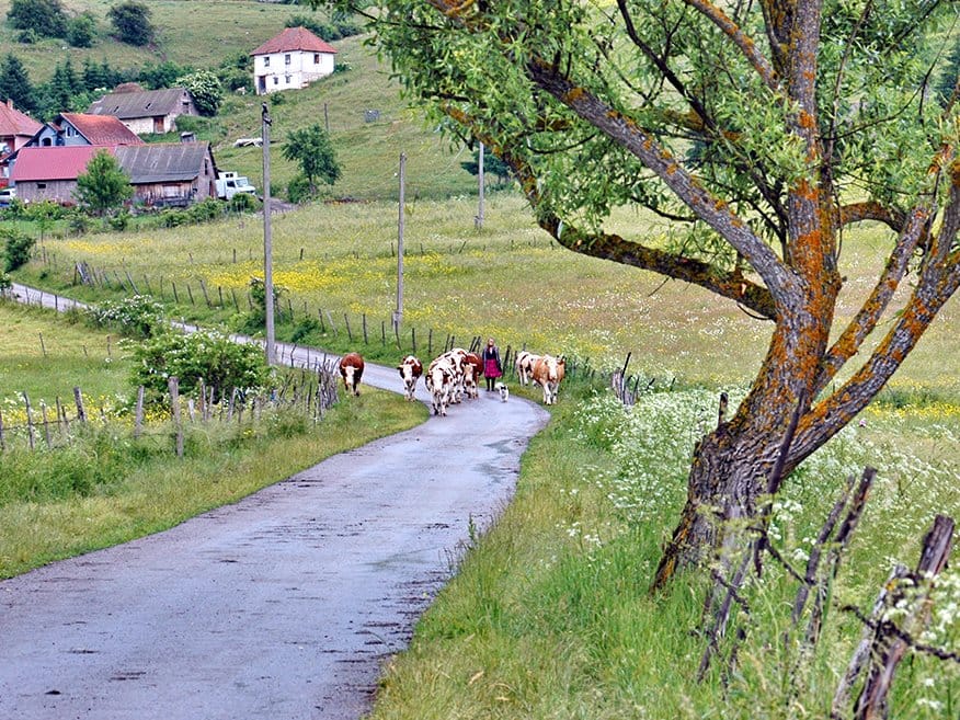Subvencije za nerazvijene opstine foto Wikipedia Z Cvetkovic