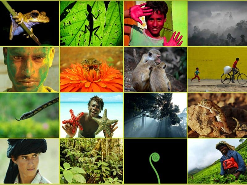 Izlozba Anima mundi foto promo poster