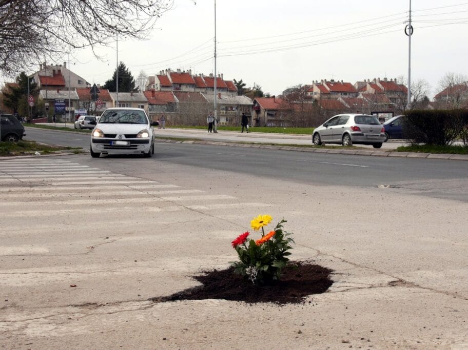 udarna rupa cvece B R