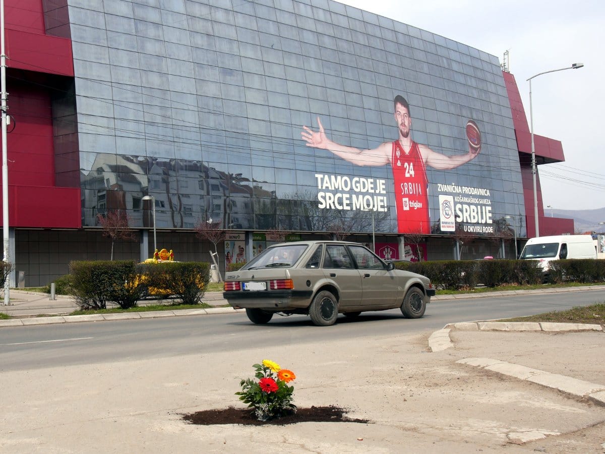 udarna-rupa-cvece2-b.r