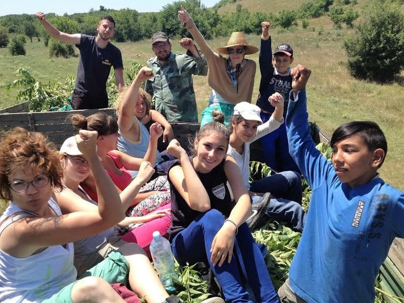 Volonterski kampovi - jeftina putovanja i doprinos zajednici 6 800x600 Volonterizam Mladi istrazivaci Srbije