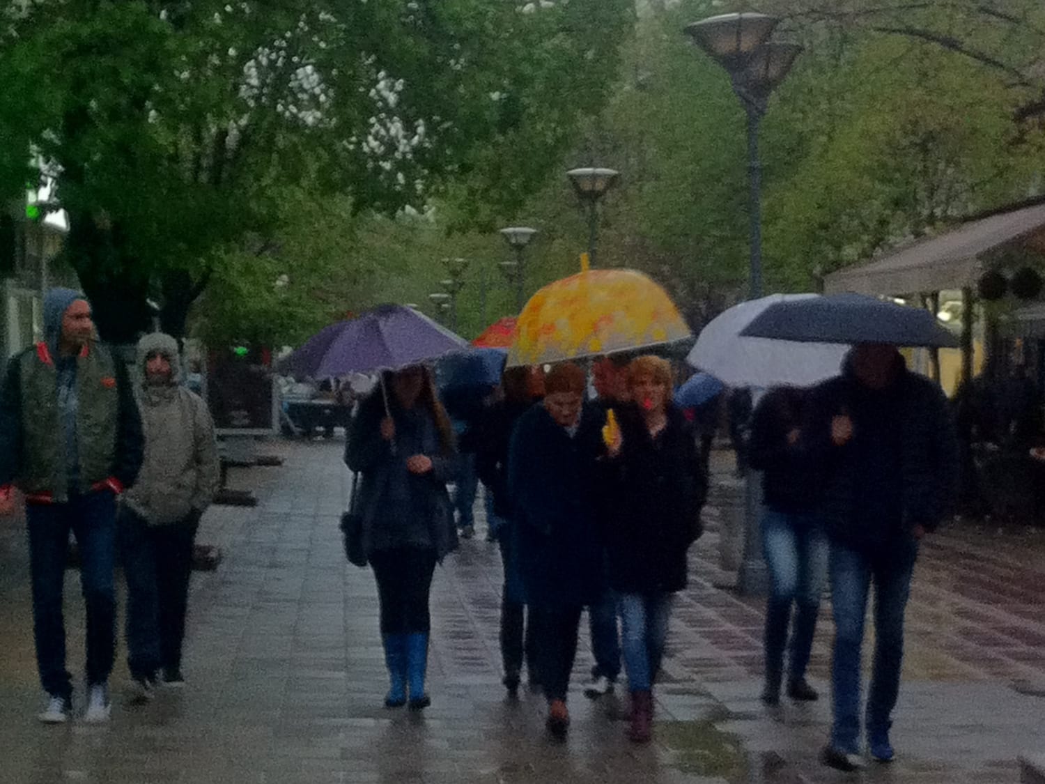 Prokuplje protest Lj M