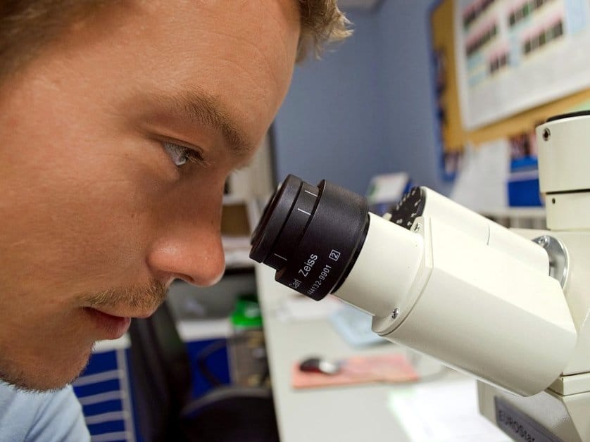 Stipendije za srpske istraživače za boravak u Francuskoj 1 Konkurs za stipendije foto
