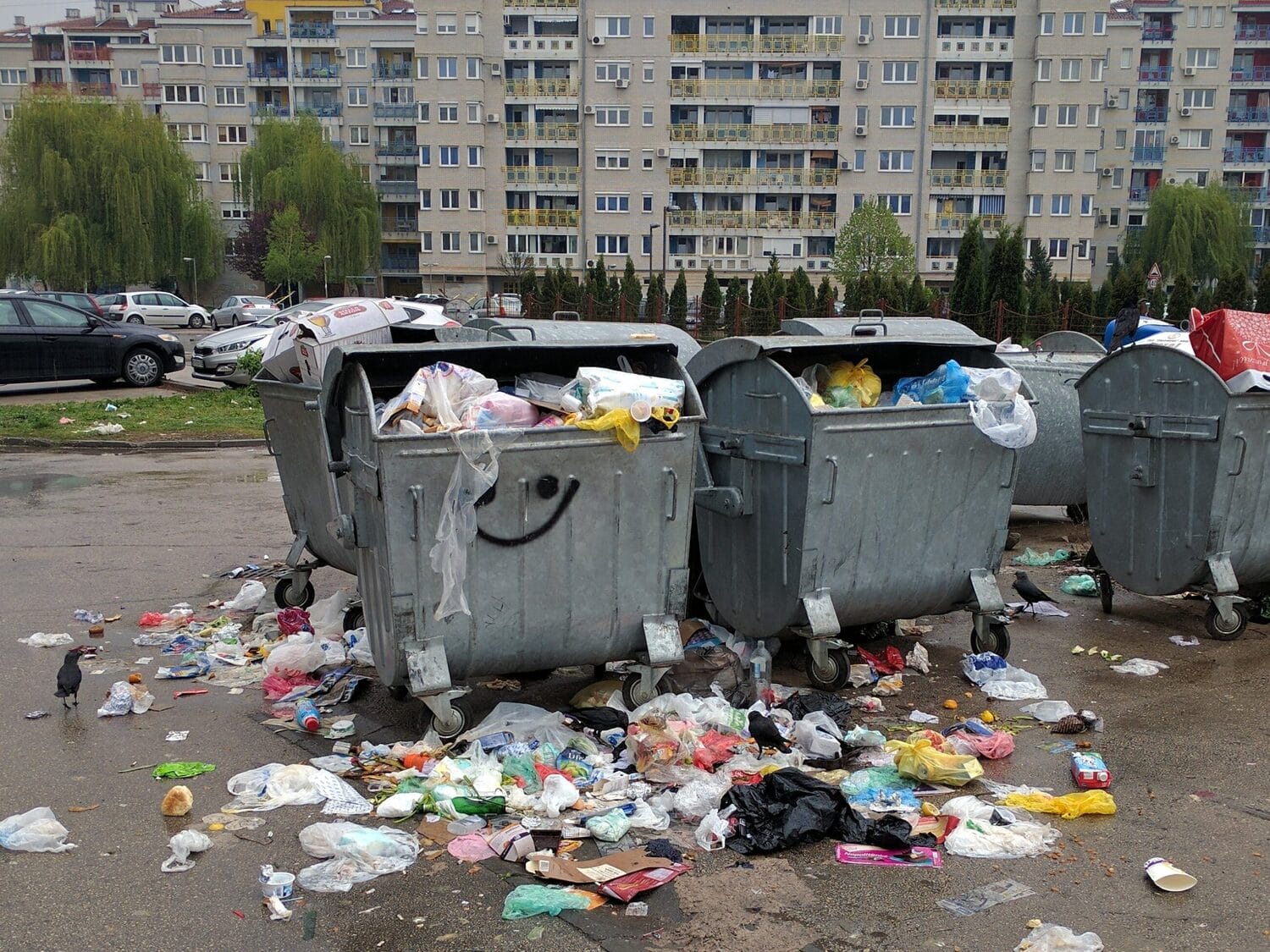 ubre foto citalac scaled