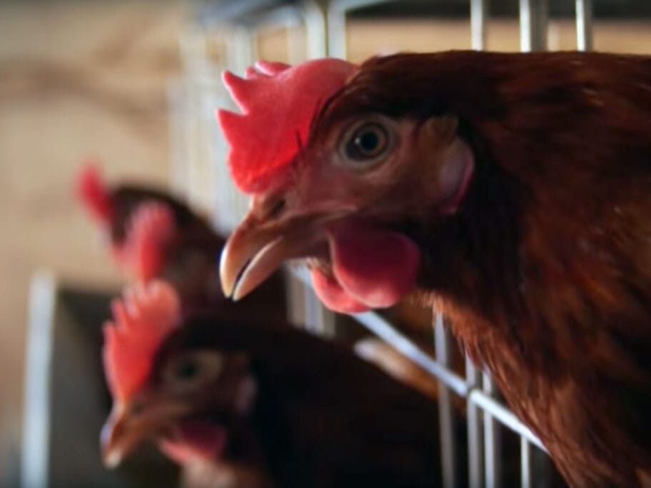 Južnim vestima nagrada EU za najbolji prilog o preduzetništvu 4 Prilog EU progres Juzne vesti