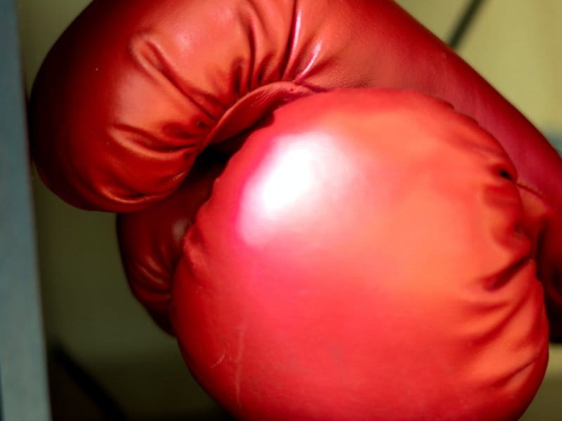 Najavljeni radovi na sanaciji Sportskog centra SOFKA u Nišu 4 800x600 Ilustracija boks J Dimas