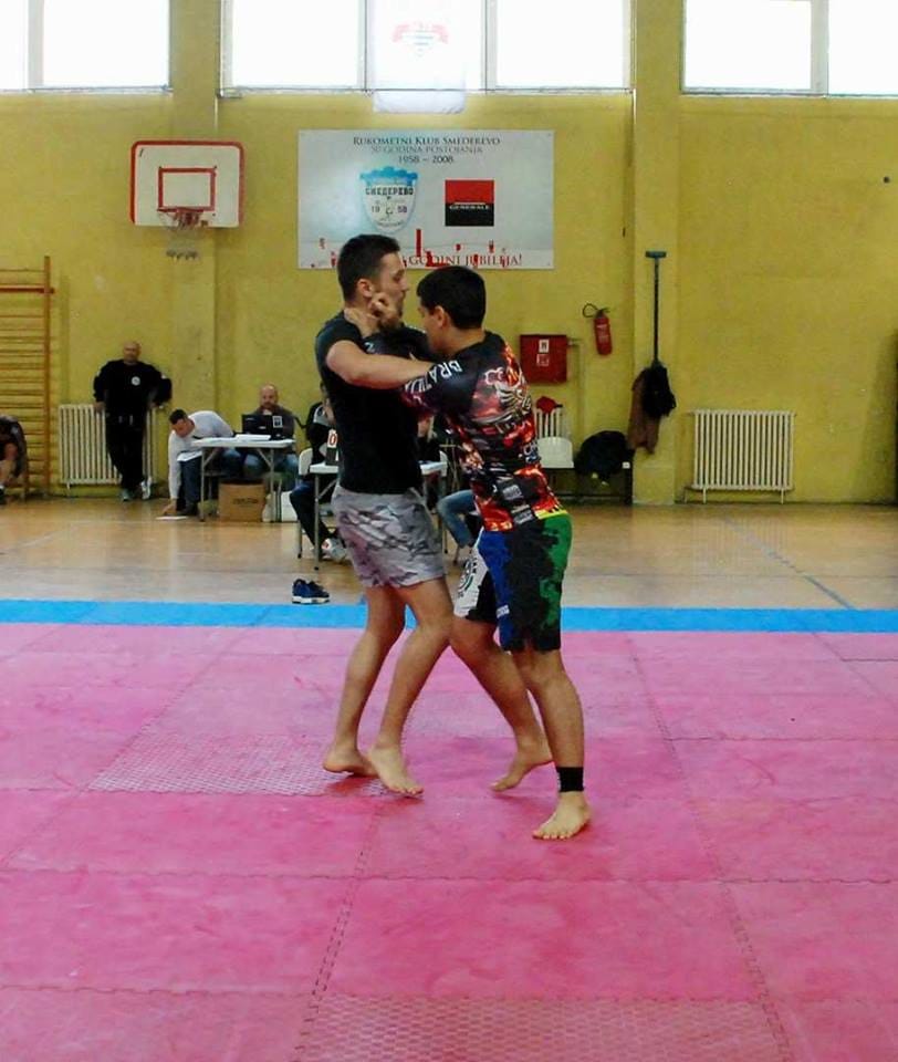 Aleksandar Stojicic Josif Nadj