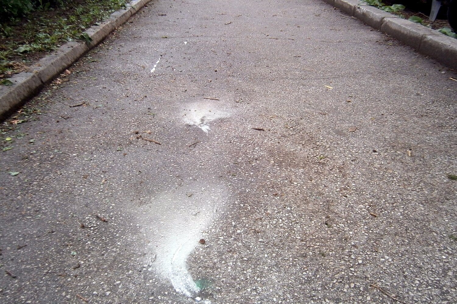 uklonjene sipke foto direkcija