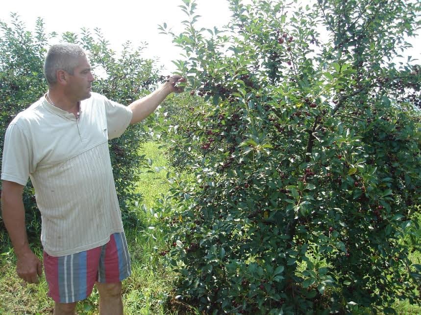 Prokuplje Lj M Arhiva