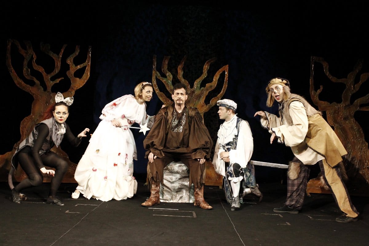 Prica o princu jedincu1 foto Lutkarsko pozoriste Nis