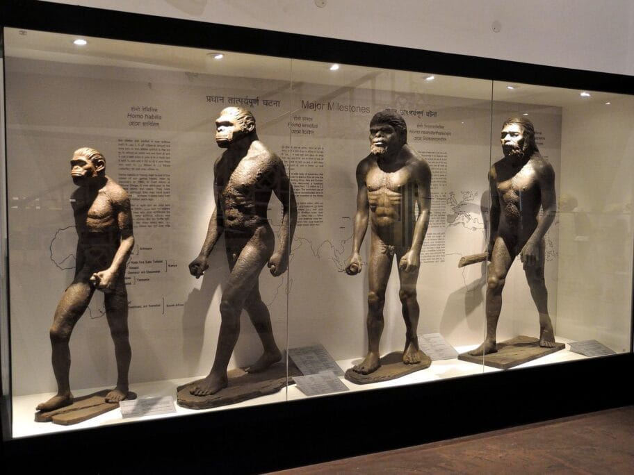 ele da se preispita Darvinova teorija foto Wikimedia commons