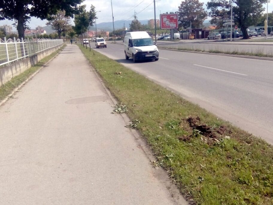 Uništen deo drvoreda na Bulevaru Nikole Tesle u Nišu 20 Drvored na Bulevaru Nikola Tesla foto A I