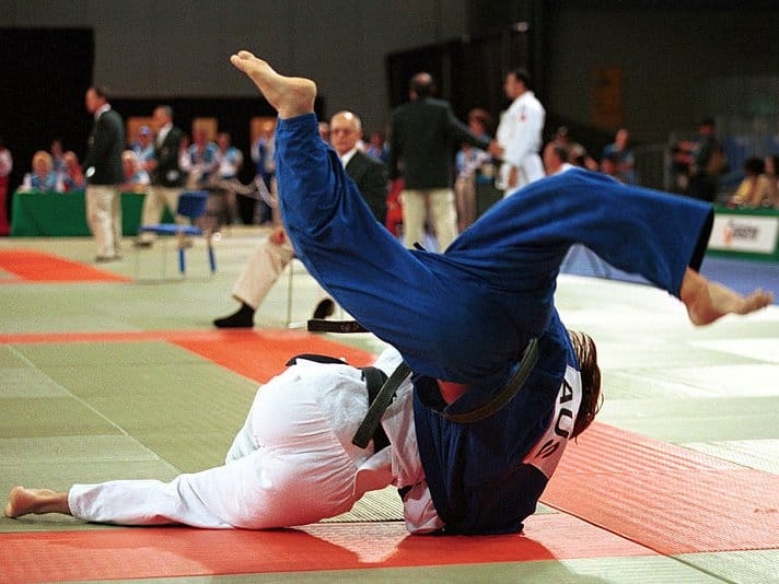 800x600 Dzudo wikimedia Sport the library