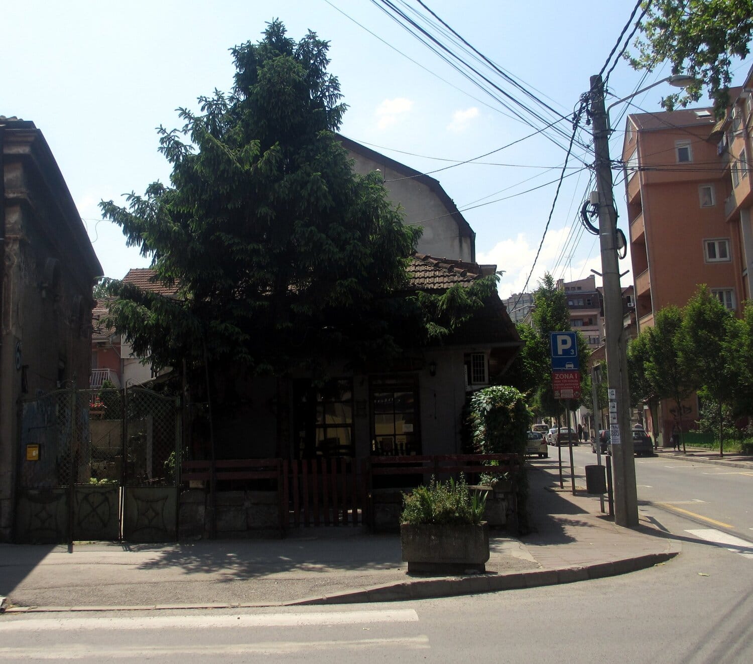 Bucino cose3 foto JV Jovana Adamovic