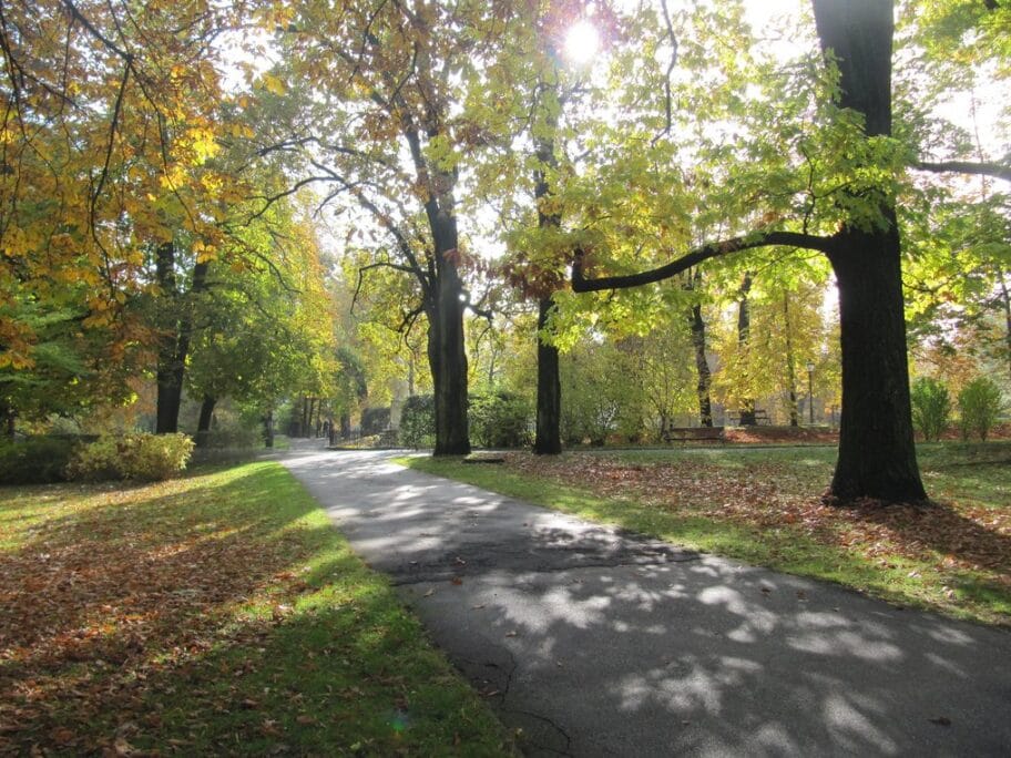 Redi: “Nema manjka zelenila u Nišu, već je problem briga o njemu” 13 Park Grac Austria ilustracija flickr domjisch