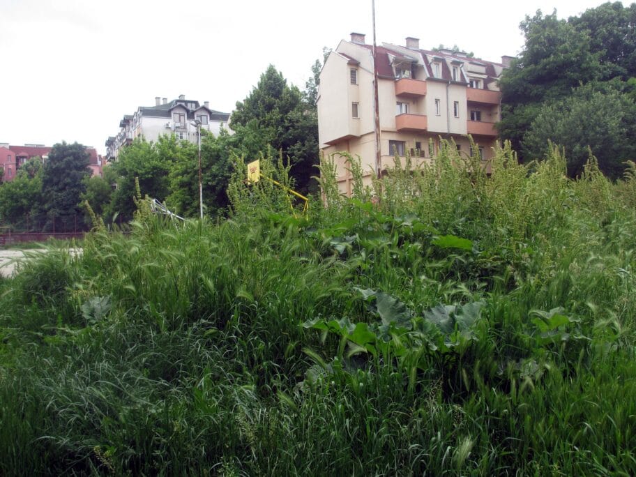 Trava na Paliluli foto JV J Adamovic