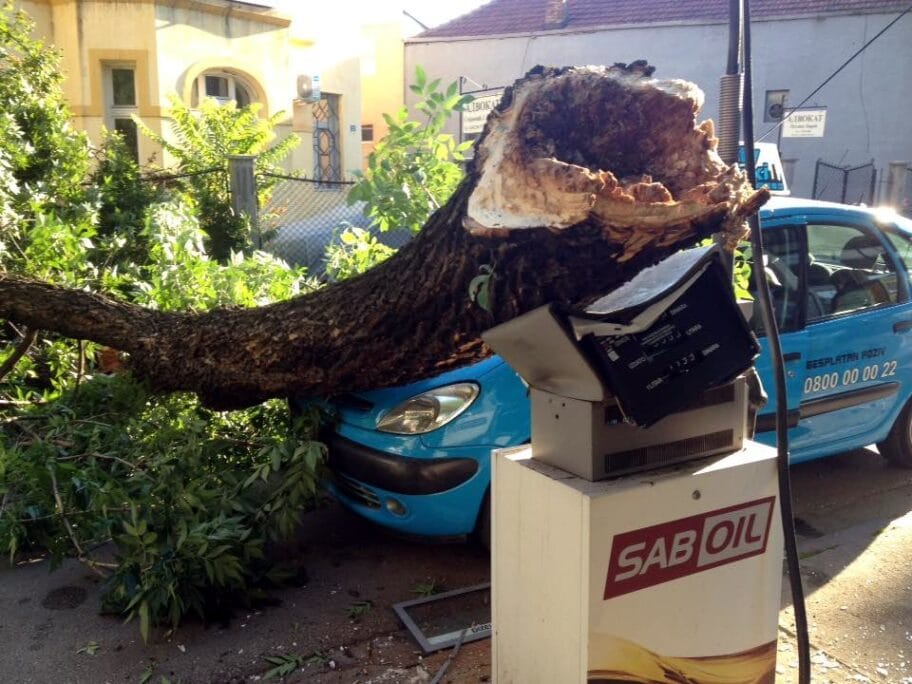 Grana pala na pumpu i auto kod parka preko puta Pozorišta 7 Odlomljena grana1 foto Nebojsa Ilic