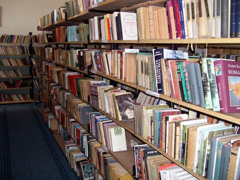 Biblioteka knjige foto Aleksandar Kostic