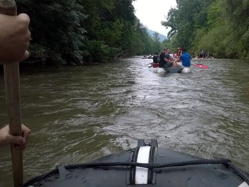 Regata umetnicka foto Milica Jovanovic