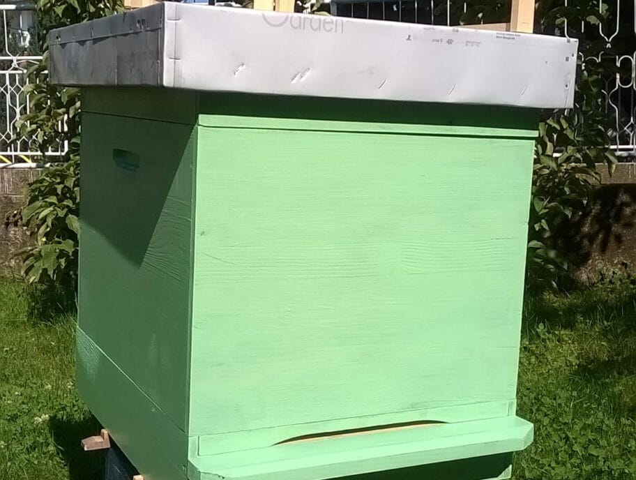 kosnica2 foto stefan manasijevic