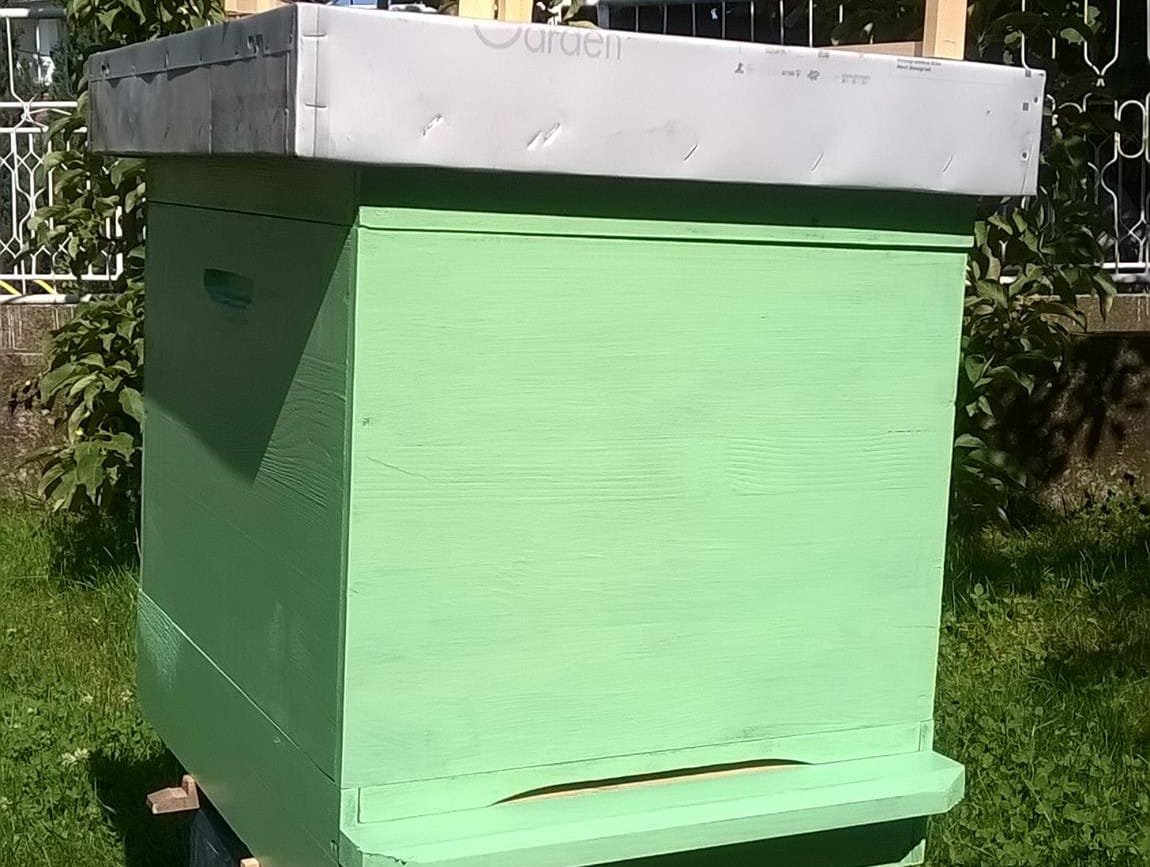 kosnica2 foto stefan manasijevic