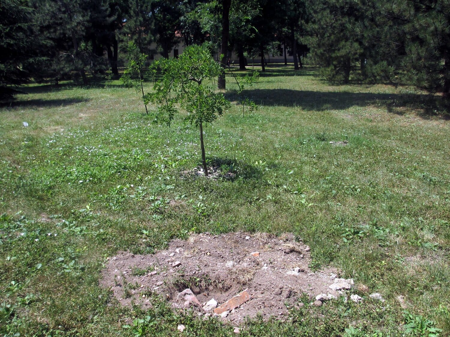 Park tolerancije mesto gde je bila tabla foto JV J A